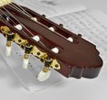 Guitarclassics